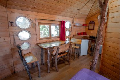 maison dans les branches